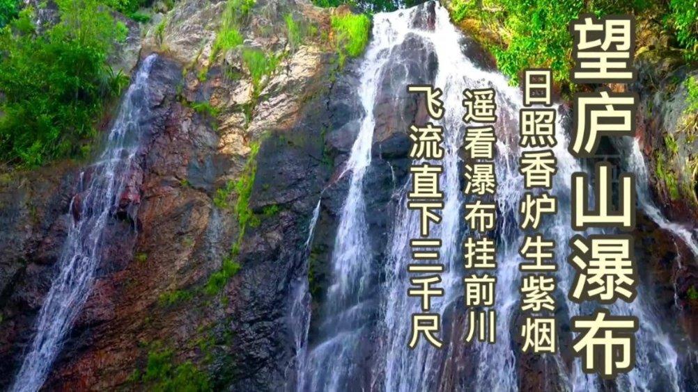 逗小猴开心系列173
