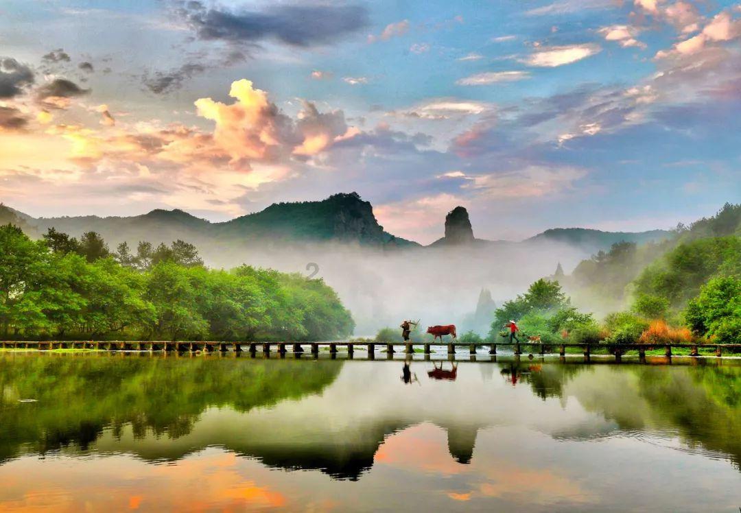 东京迷城